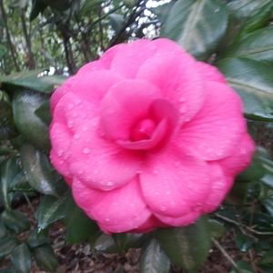 Meet your Posher, Kymberli